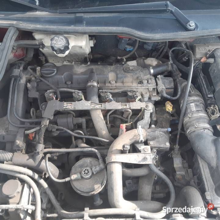 Używany 2000 Peugeot 206 | 1200 zł (Dobra cena) - Obraz 1/1
