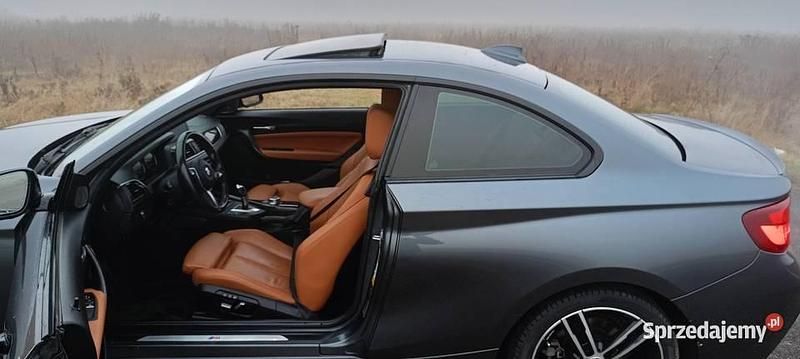 Używany BMW 230 M Sport 2018 Coupe