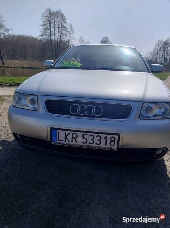 Używany 2002 Audi A3 | 5300 zł (Uczciwa cena) - Obraz 1/4