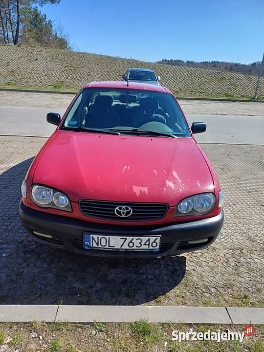 Obraz 2/4