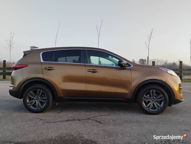Używany 2018 Kia Sportage SUV | 74 000 zł - Obraz 1/4