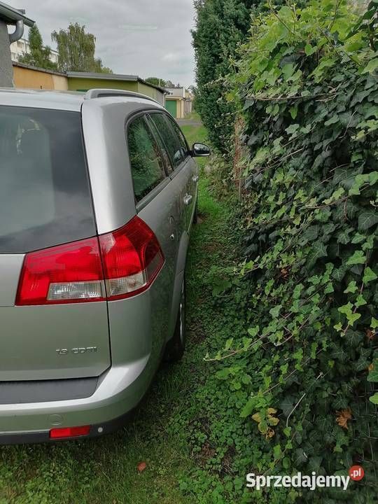 Używany Opel Vectra 2008 Kombi