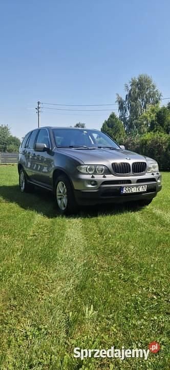 Szary Używany 2004 BMW X5 SUV | 30 000 zł (Uczciwa cena) - Obraz 1/4