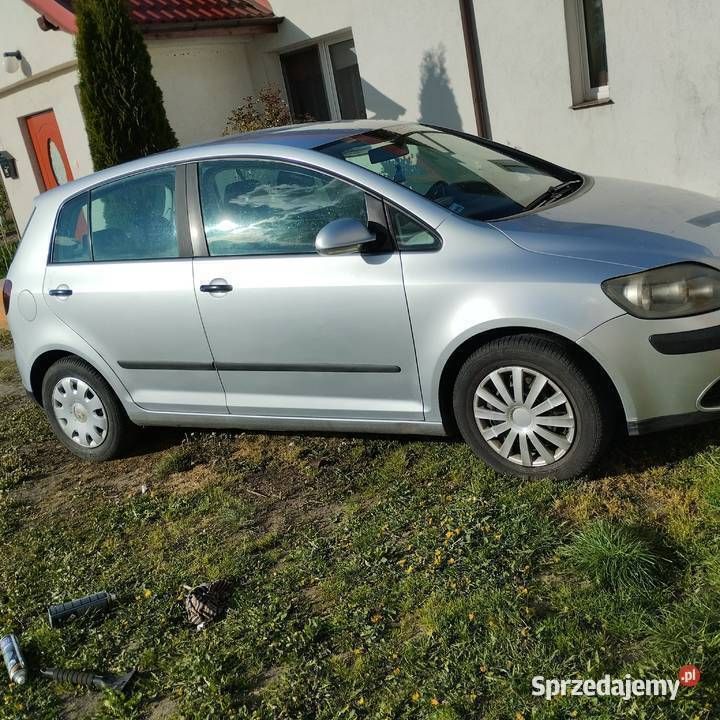 Używany VW Golf Plus Cross 75 KM (55 kW) 2005 Minivan