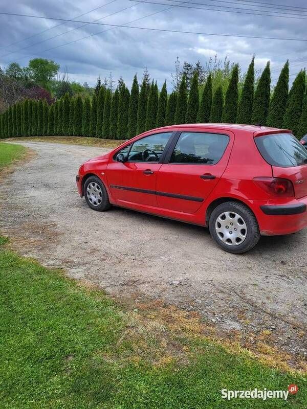 Używany 2002 Peugeot 307 | 4800 zł (Dość drogi) - Obraz 1/4