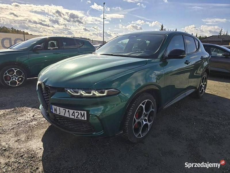Zielony Używany 2024 Alfa Romeo Tonale SUV | 106 641 zł - Obraz 1/4