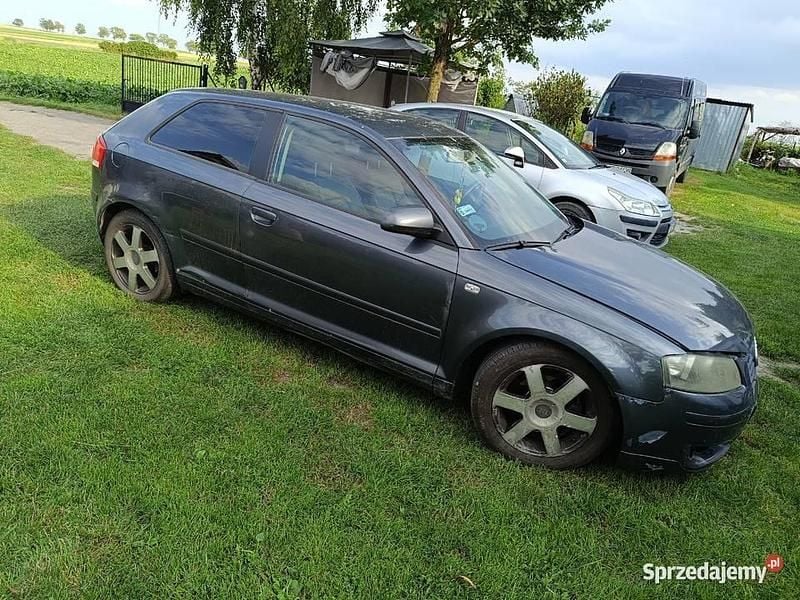 Używany 2004 Audi A3 | 6000 zł (Dobra cena) - Obraz 1/4