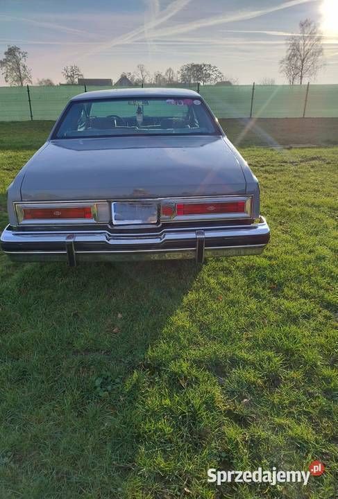Używany Buick Riviera 1978 Coupe