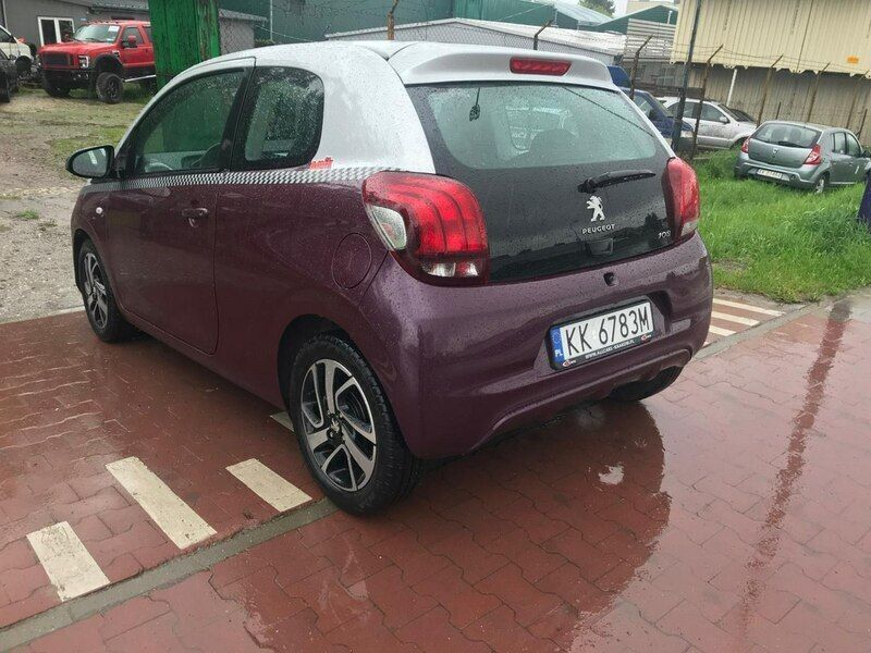 Obraz 3