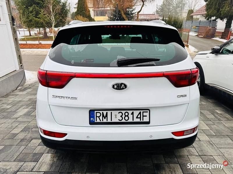 Używany Kia Sportage 2016 Biały SUV