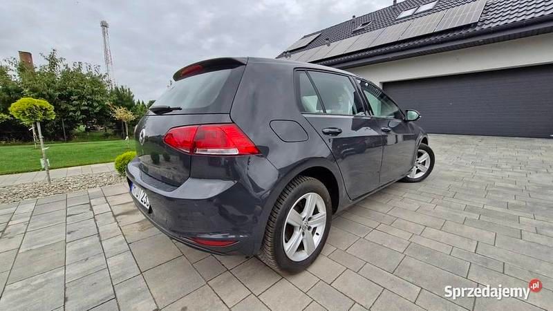 Szary Używany 2014 VW Golf VII Hatchback | 36 900 zł (Dobra cena) - Obraz 1/4
