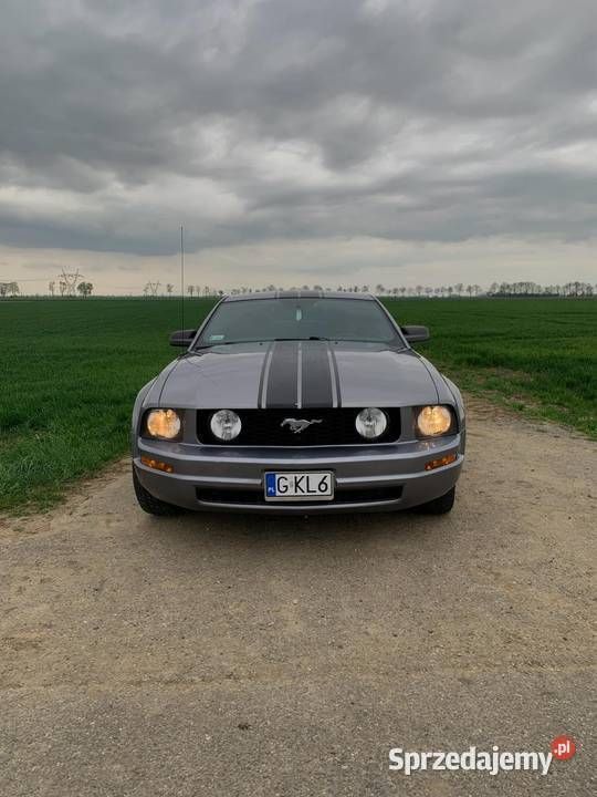 Srebrny Używany 2006 Ford Mustang Coupe | 44 900 zł - Obraz 1/3