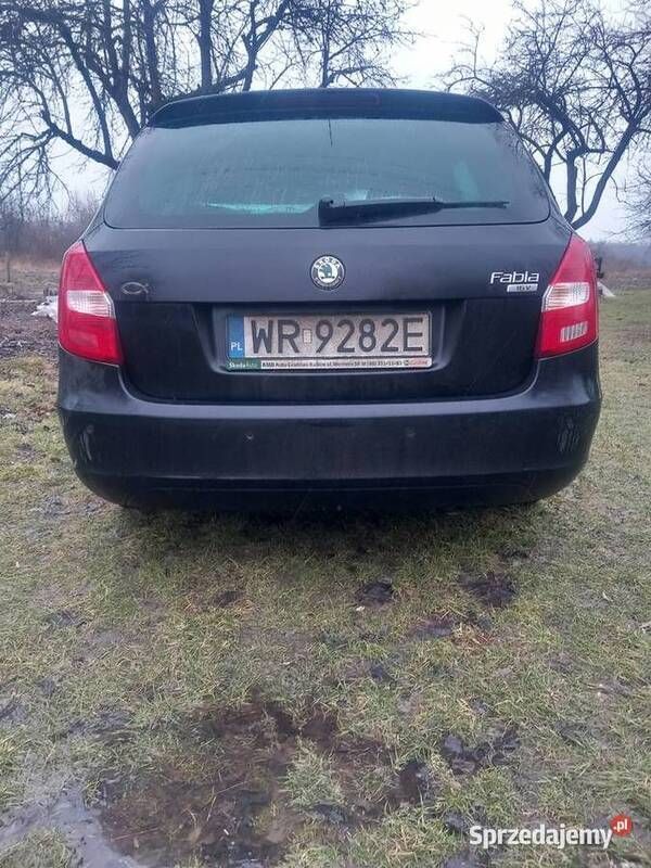 Obraz 3/4