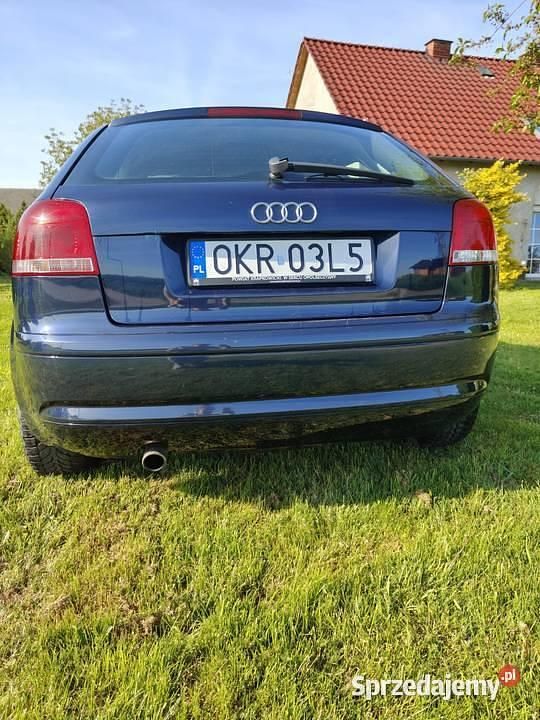 Używany 2003 Audi A3 | 7000 zł (Super Cena) - Obraz 1/4