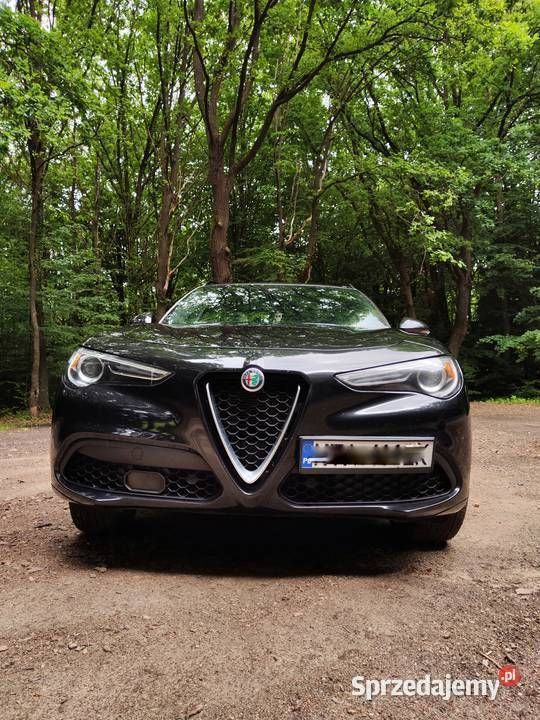 Używany 2020 Alfa Romeo Stelvio SUV | 114 000 zł (Uczciwa cena) - Obraz 1/4