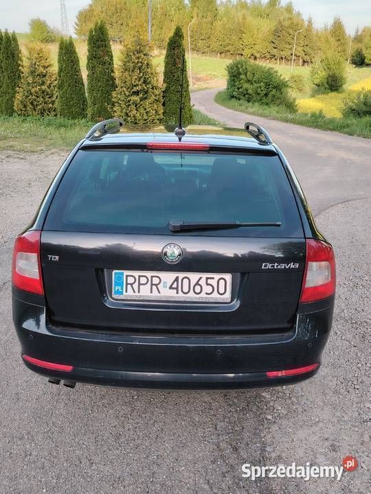 Obraz 3/4