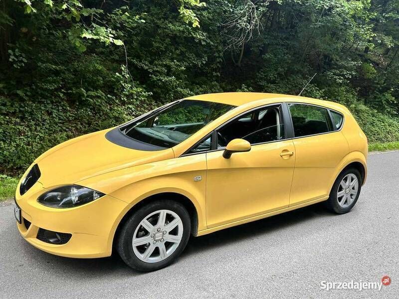 Używany Seat Leon 105 KM (77 kW) 2007 Hatchback