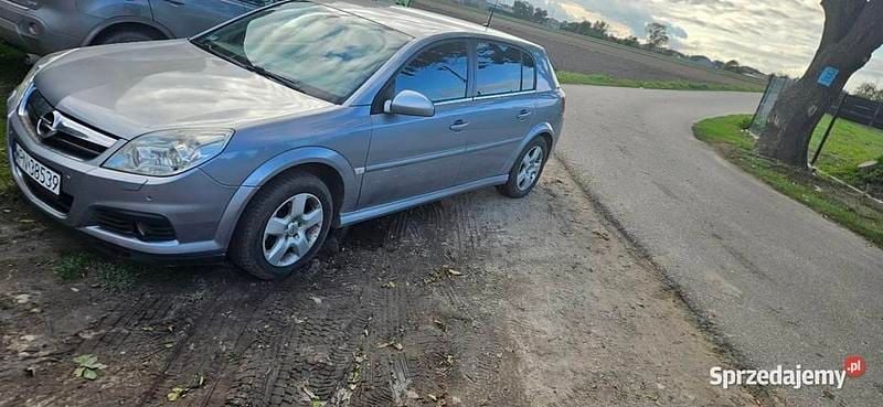 Szary Używany 2005 Opel Signum Kombi | 7499 zł (Dość drogi) - Obraz 1/4