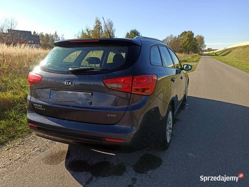 Używany Kia Ceed 2014 Hatchback