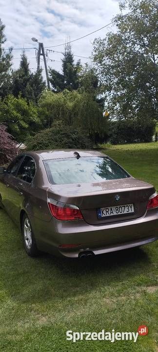 Brązowy Używany 2004 BMW 520 Sedan/Limuzyna | 16 200 zł (Uczciwa cena) - Obraz 1/4