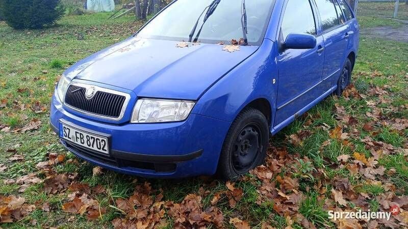 Używany Skoda Fabia 75 KM (55 kW) 2003