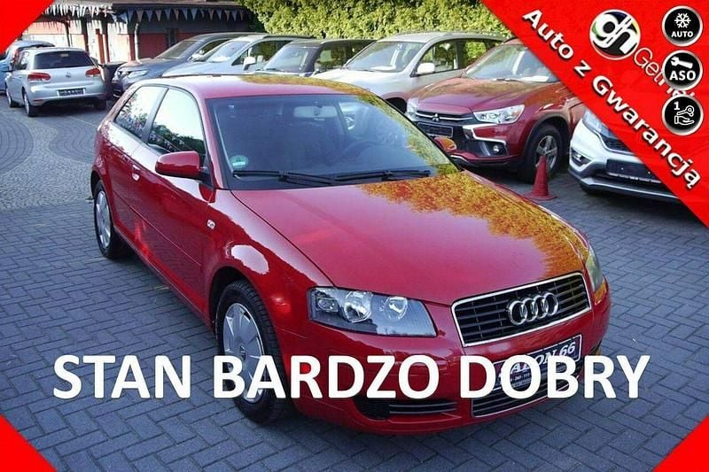 Czerwony Używany 2004 Audi A3 Hatchback | 10 900 zł (Uczciwa cena) - Obraz 1/4