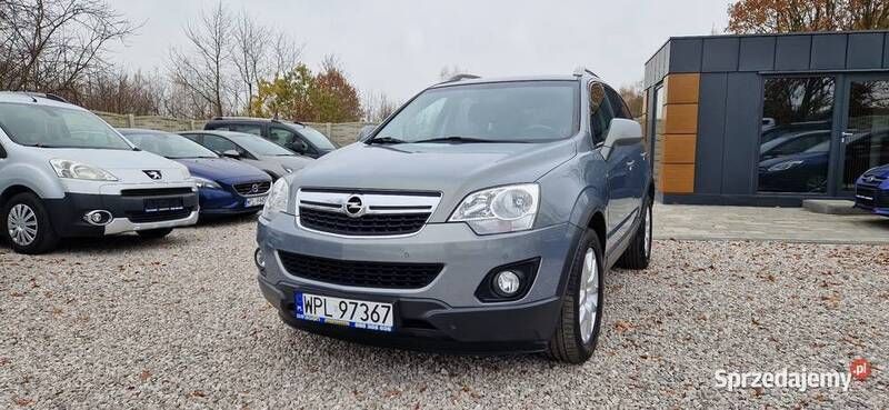 Obraz 3