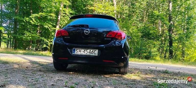 Obraz 4/4