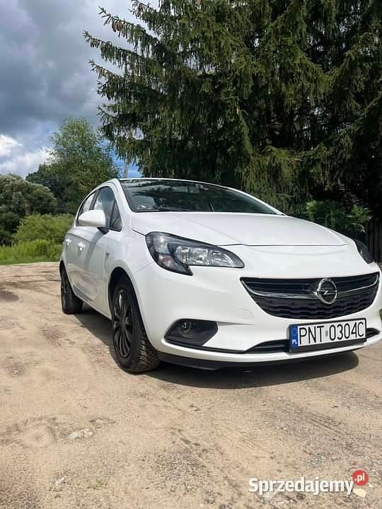Biały Używany 2016 Opel Corsa Sedan/Limuzyna | 24 999 zł (Dobra cena) - Obraz 1/4