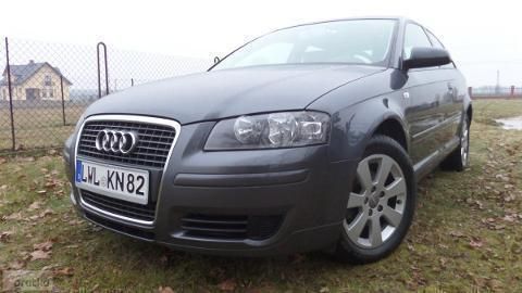 Sprzedany Audi A3 Sportback Ii 8p 16 Używany 2007 Km 215 937 W