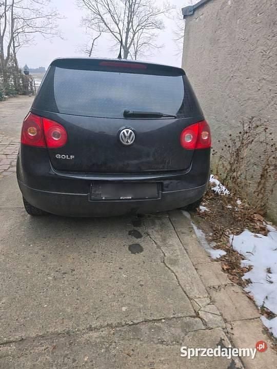 Używany 2007 VW Golf V | 4900 zł (Dobra cena) - Obraz 1/4