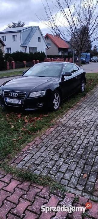 Obraz 3/4