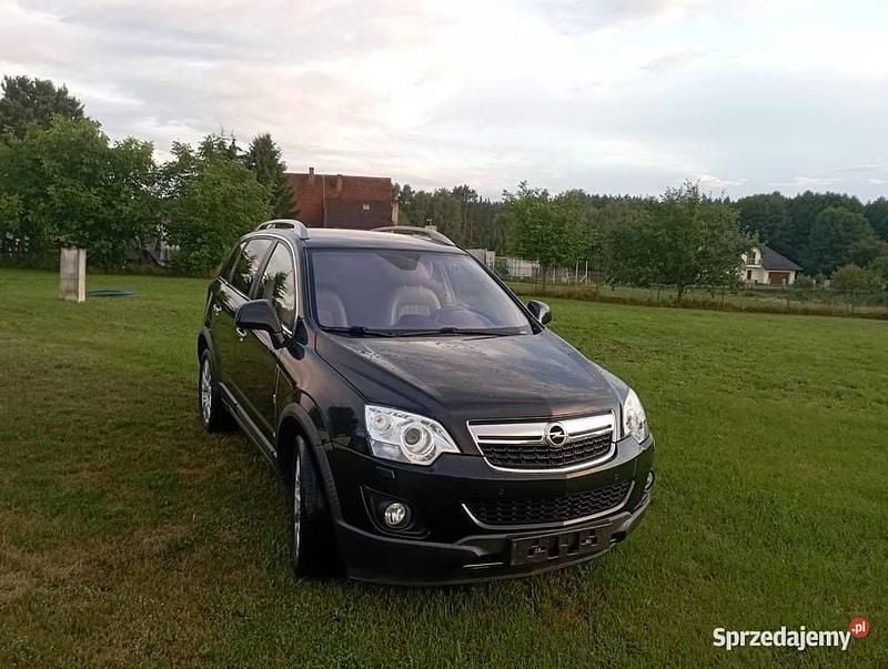 Używany Opel Antara 2011 SUV