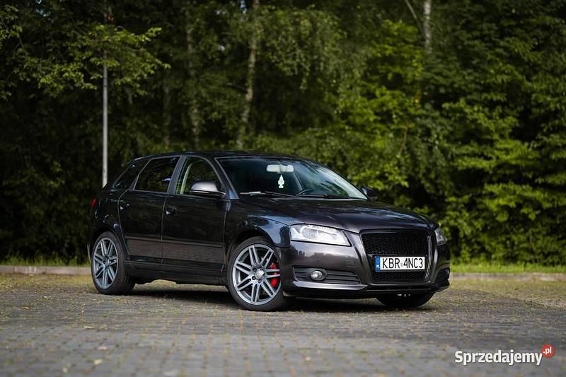 Używany 2010 Audi A3 | 25 000 zł (Dość drogi) - Obraz 1/4
