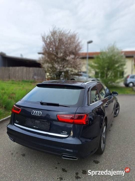 Obraz 4