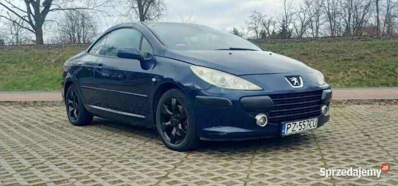 Obraz 3/4