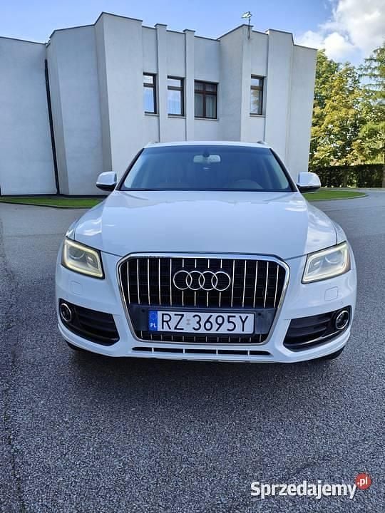 Używany 2015 Audi Q5 SUV | 69 999 zł (Dobra cena) - Obraz 1/4