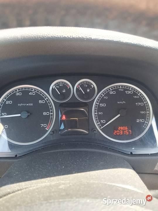 Używany 2005 Peugeot 307 | 3900 zł (Uczciwa cena) - Obraz 1/4