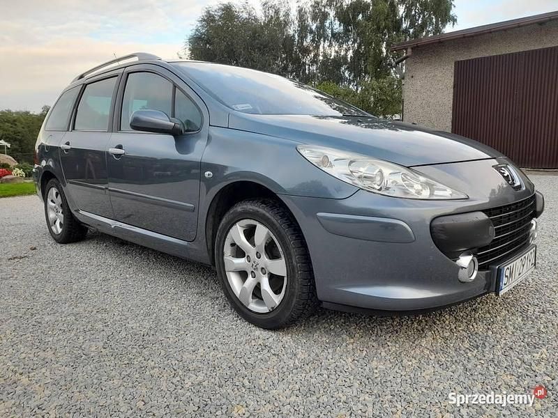 Szary Używany 2006 Peugeot 307 Kombi | 22 800 zł - Obraz 1/4