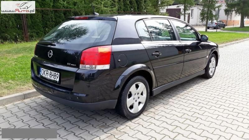 Opel signum 2004