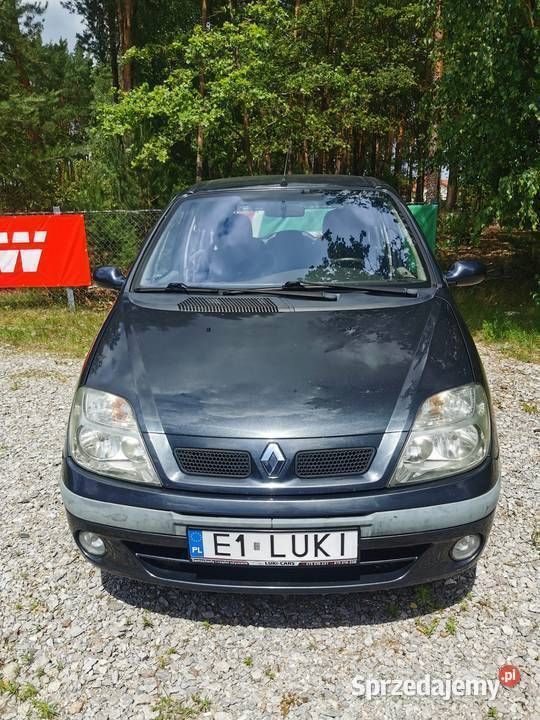 Używany 2002 Renault Scénic Minivan | 2900 zł (Uczciwa cena) - Obraz 1/4