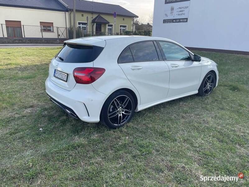 Obraz 3