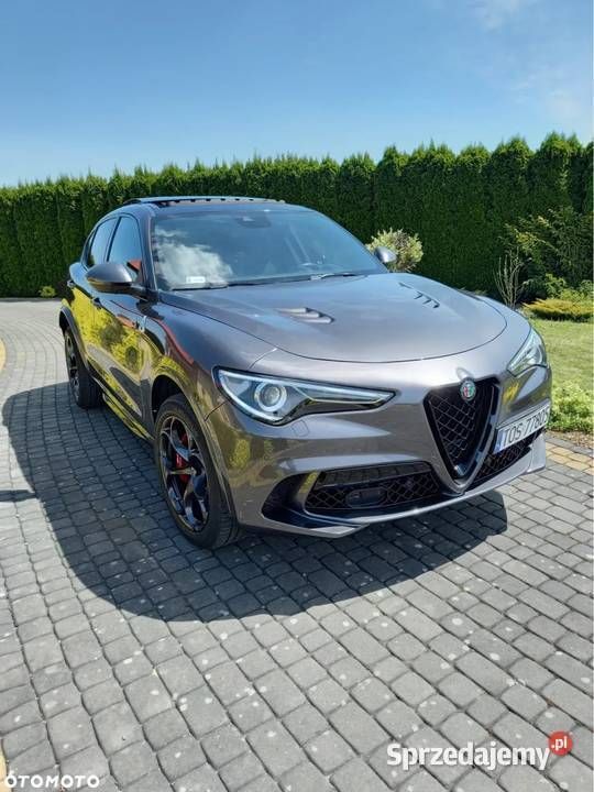 Używany 2019 Alfa Romeo Stelvio Quadrifoglio SUV | 230 000 zł (Uczciwa cena) - Obraz 1/4