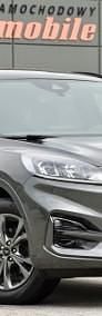Używany Ford Kuga ST 190 KM (139 kW) 2022 Szary SUV