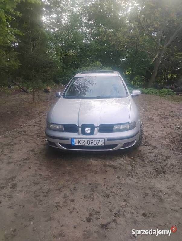 Obraz 2