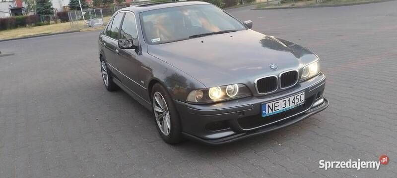 Obraz 3/4