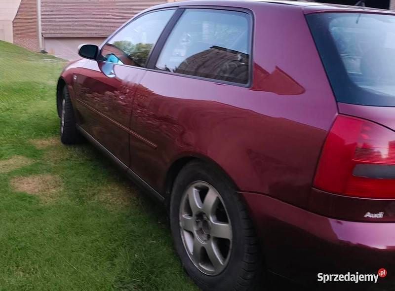 Używany 1999 Audi A3 | 2500 zł (Dobra cena) - Obraz 1/4