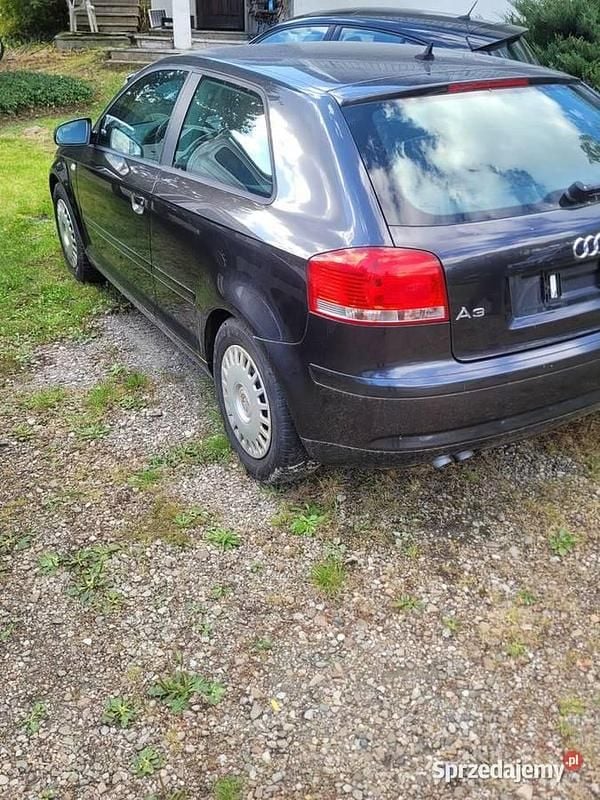 Używany 2007 Audi A3 Hatchback | 5999 zł (Super Cena) - Obraz 1/4