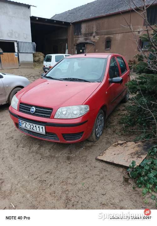 Czerwony Używany 2003 Fiat Punto Hatchback | 3000 zł (Uczciwa cena) - Obraz 1/4