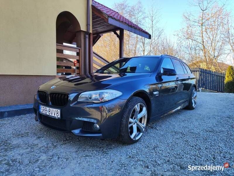 Obraz 3